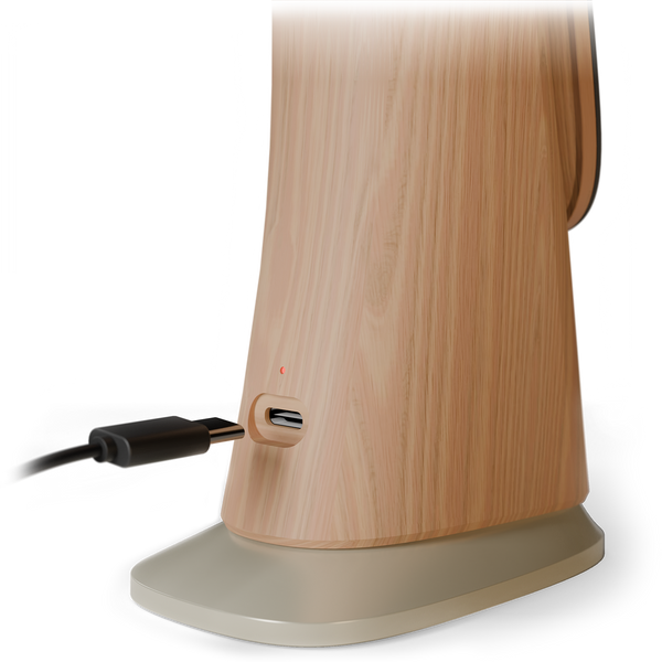 Type-C Charging