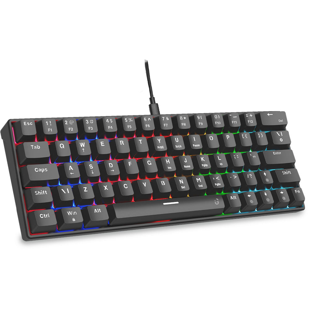 Raptor – iGear World