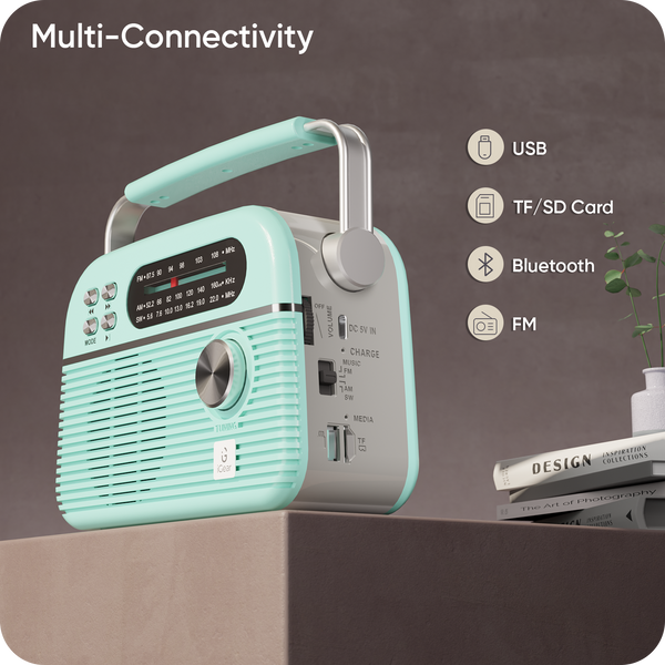 Multiple Connectivity