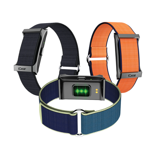 Auraband