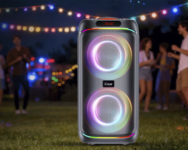 100W Powerful Bass-driven Audio
